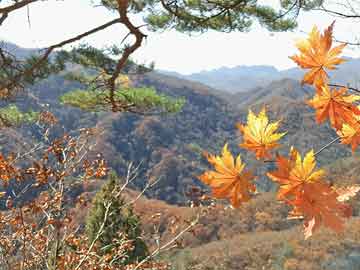 京魯大戰(zhàn)最新消息，兩大豪門(mén)爭(zhēng)鋒對(duì)決，誰(shuí)將成為新的霸主？